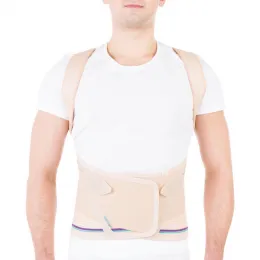 Корректор осанки (реклинатор) Т-1702 Evolution