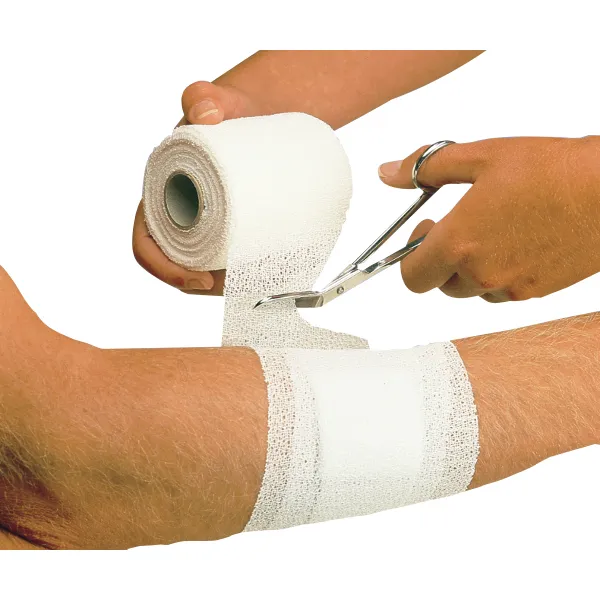 БИНТ КОГЕЗИВНЫЙ ЭЛАСТИЧНЫЙ ФИКС. PEHA-HAFTR COLOR WHITE/БЕЛЫЙ (РАЗМЕР: 10СМХ4М) БИНТ КОГЕЗИВНЫЙ ЭЛАСТИЧНЫЙ ФИКС. PEHA-HAFTR COLOR WHITE/БЕЛЫЙ (РАЗМЕР: 10СМХ4М)